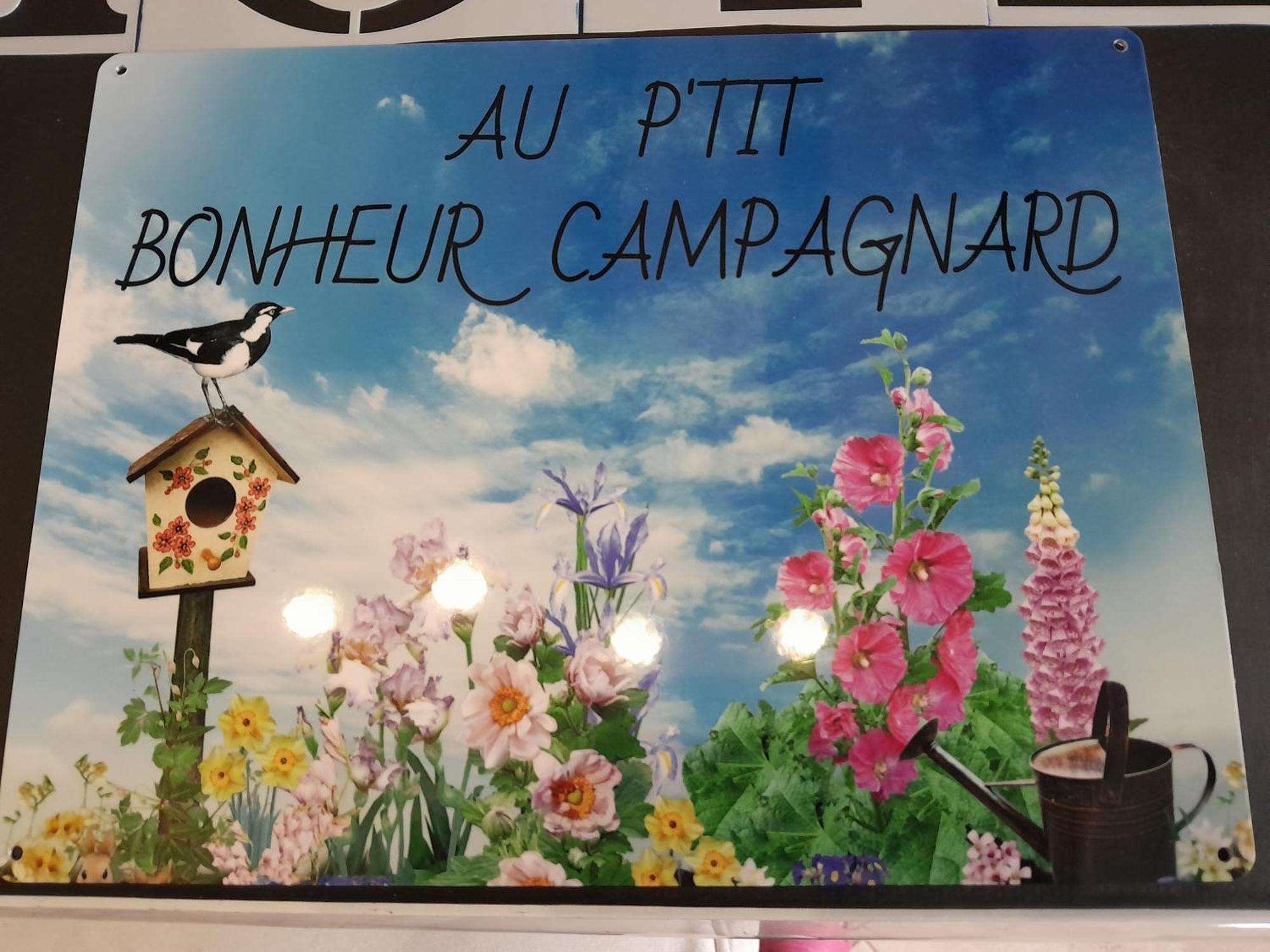 Chambres D Hotes Au P'Tit Bonheur Campagnard Jarnosse Ngoại thất bức ảnh